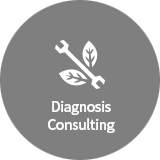Diagnosis Consulting